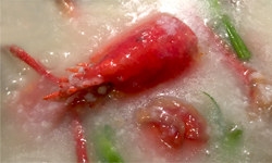 Ginger and Scallion Lobster Congee 薑蔥龍蝦粥