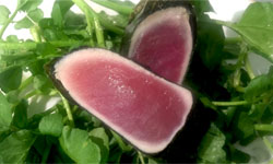 Seared Tuna Wrap in Seaweed with Watercress Salad