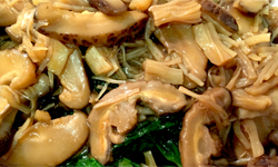 Snow Pea Shoots with Dry Scallops and Shiitake Mushrooms 冬菇瑤柱扒豆苗