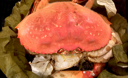 Chinese Steamed Dungeness Crab on Sticky Rice 糯米飯蒸加拿大蟹 
