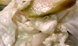Spicy Pickled Chinese Cabbage 酸辣白菜